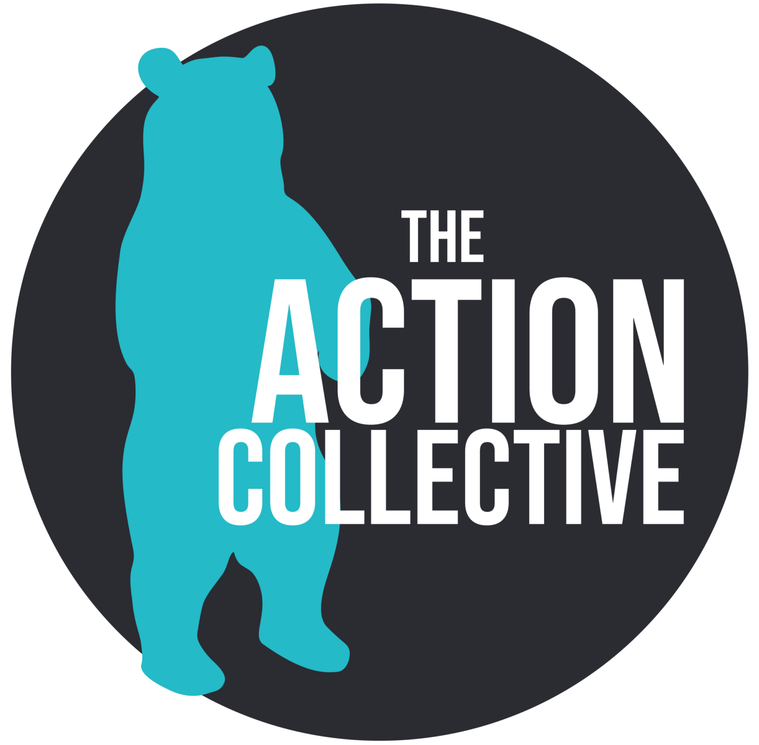 The Action Collective A space for action